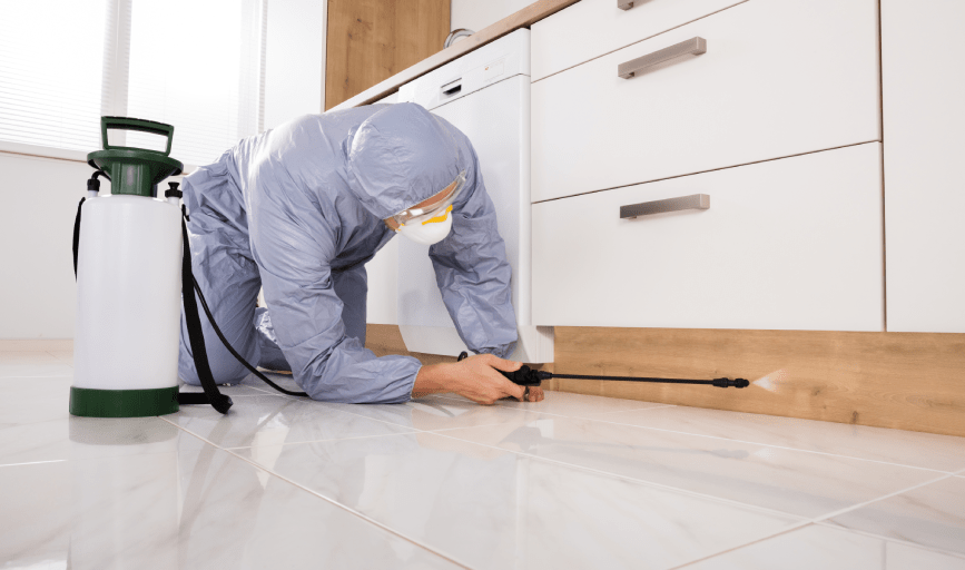 Nor Cal Repairs & Exclusions